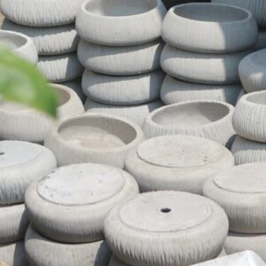 chậu xi măng trồng cọ nhật sân vườn