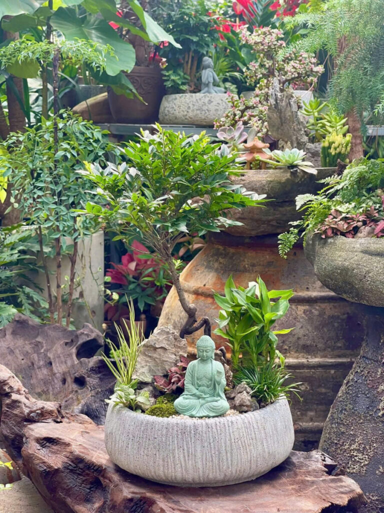 chậu xi măng mẫu đơn giản phù hợp cây xương rồng