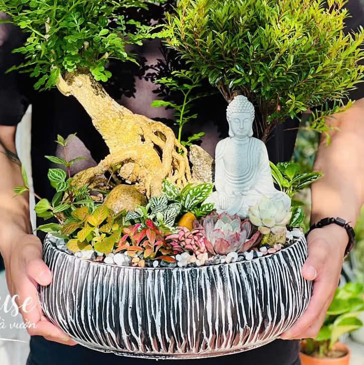 Chính Sách Cộng Tác Viên Cemora