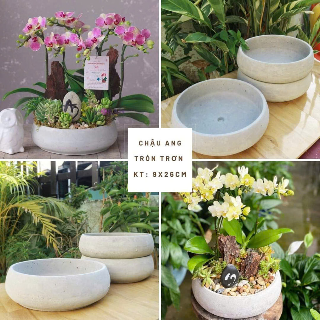 chậu xi măng nhẹ chống thấm để ban công