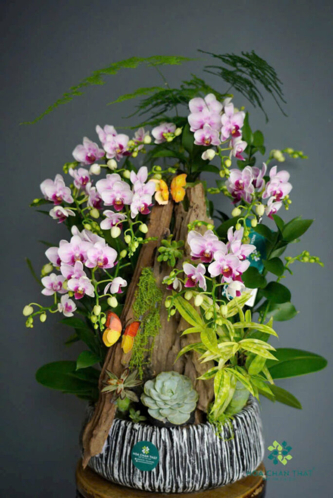 chậu xi măng tròn đường kính 50cm có lỗ thoát nước