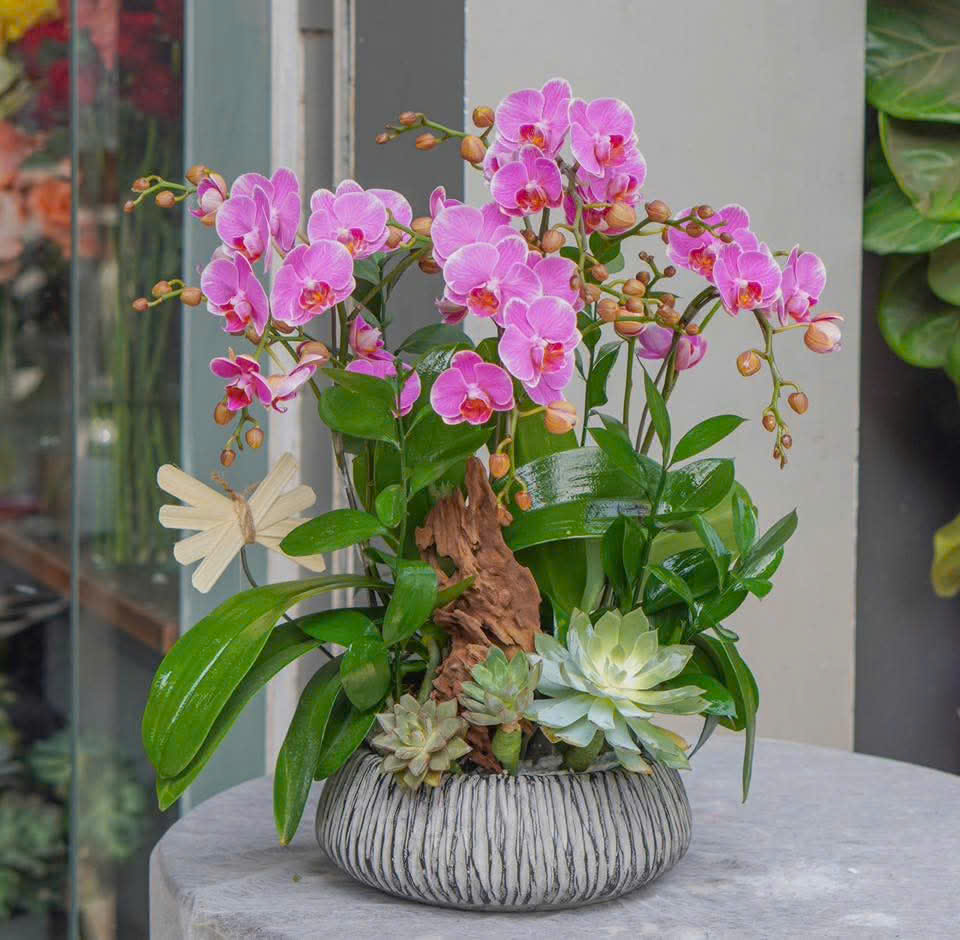 chậu xi măng hình trụ cao cho cây ăn trái mini