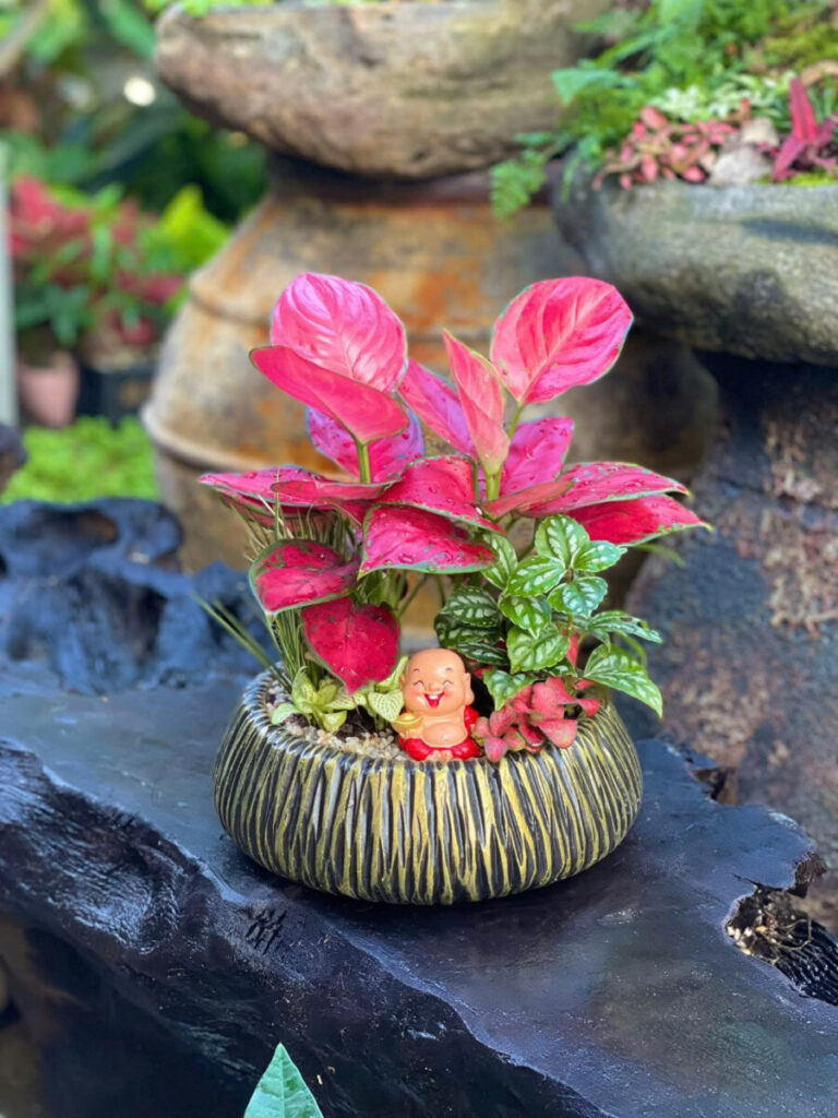 chậu xi măng phủ nano chống rêu mốc