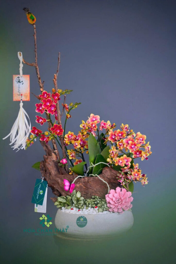 chậu xi măng chữ nhật dài trồng cây cảnh ngoài trời