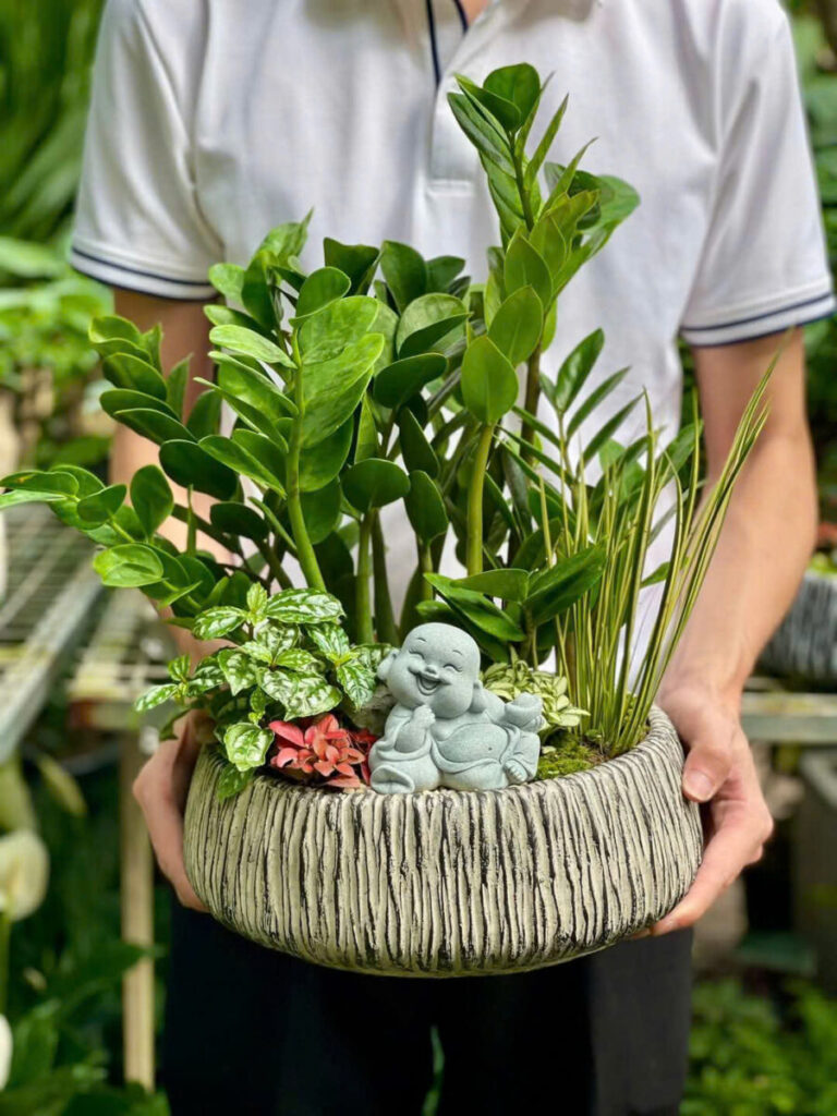 chậu xi măng giá sỉ cho dự án cảnh quan