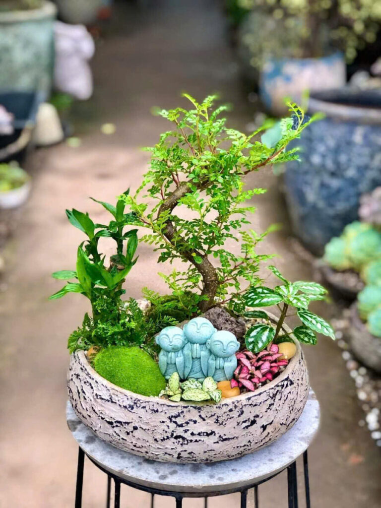 chậu xi măng nhẹ chống thấm để ban công