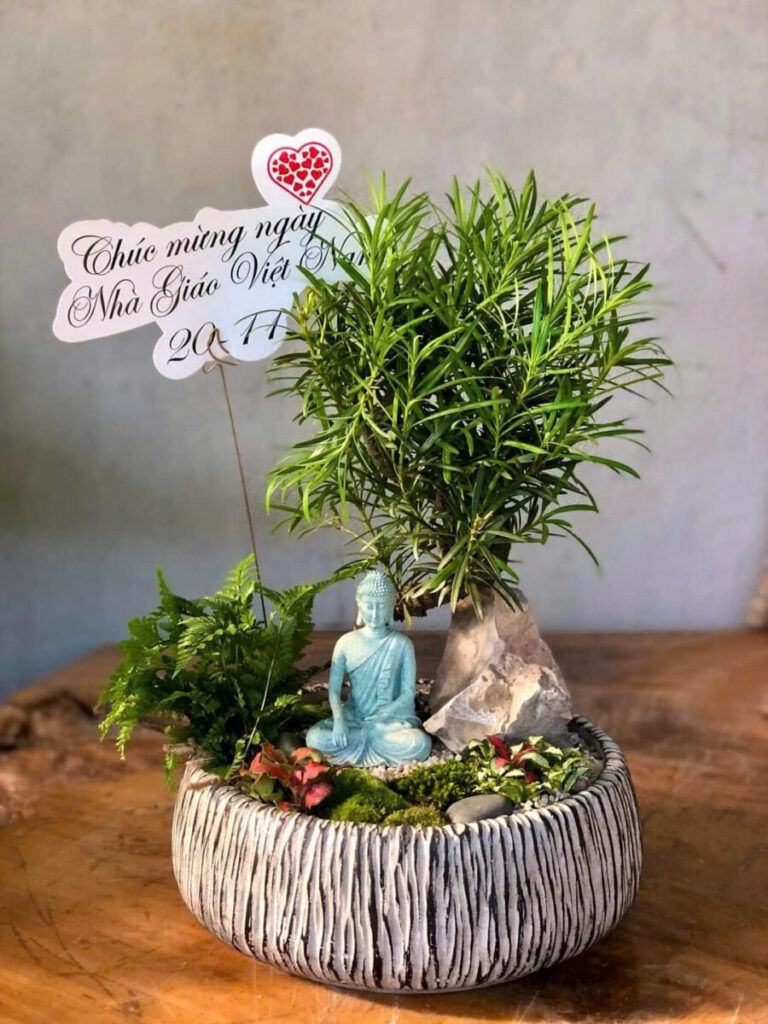 chậu xi măng kèm khay hứng nước văn phòng