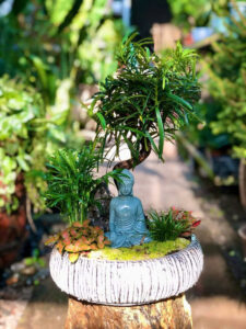 chậu xi măng dài 100cm cho ban công chung cư