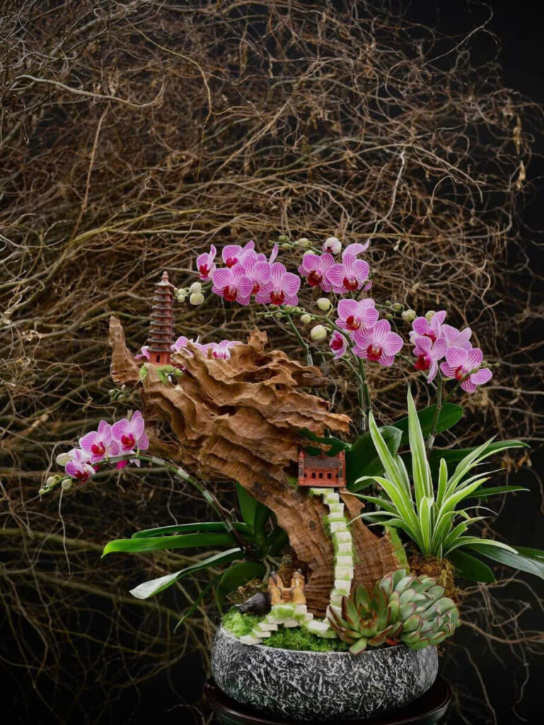 chậu xi măng chịu tải cho cây thân gỗ