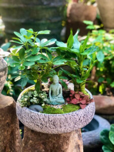 chậu xi măng vuông 40x40x40cm giá tốt