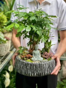 xưởng chậu xi măng nhận thi công trọn gói