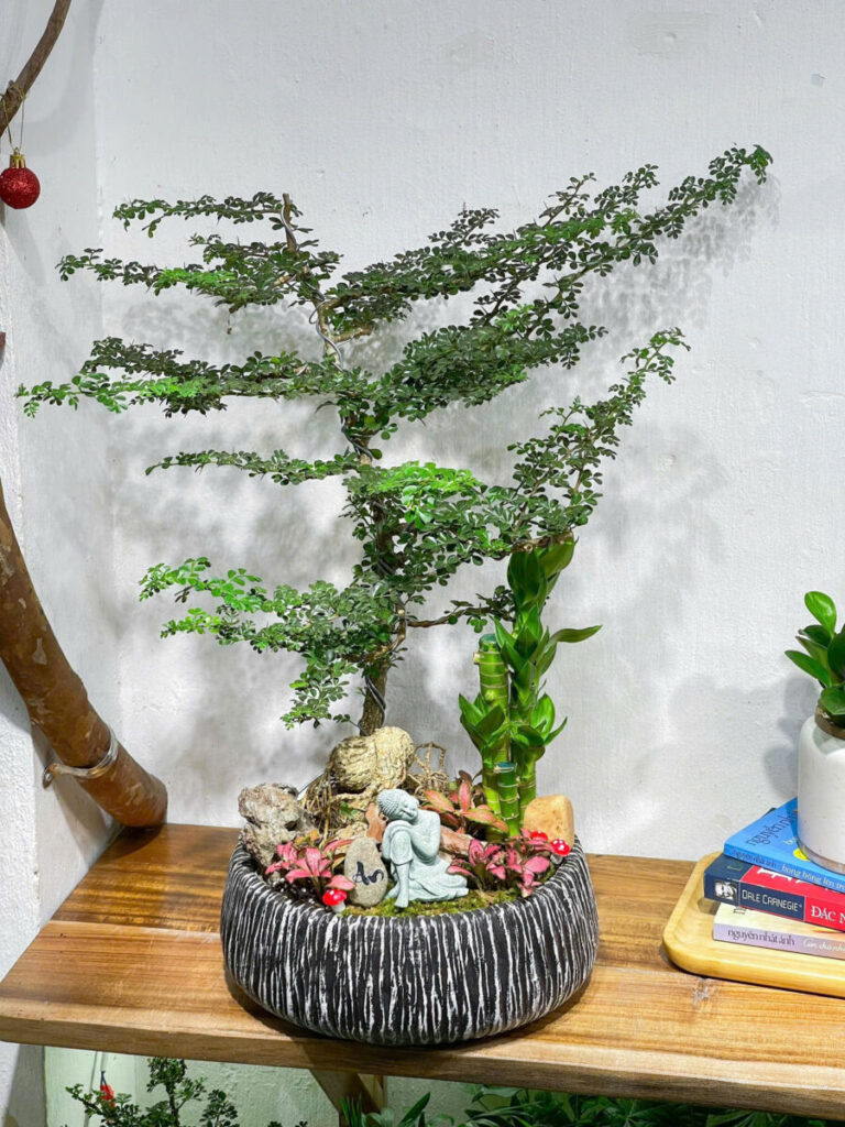 chậu xi măng hình trụ cao cho cây ăn trái mini