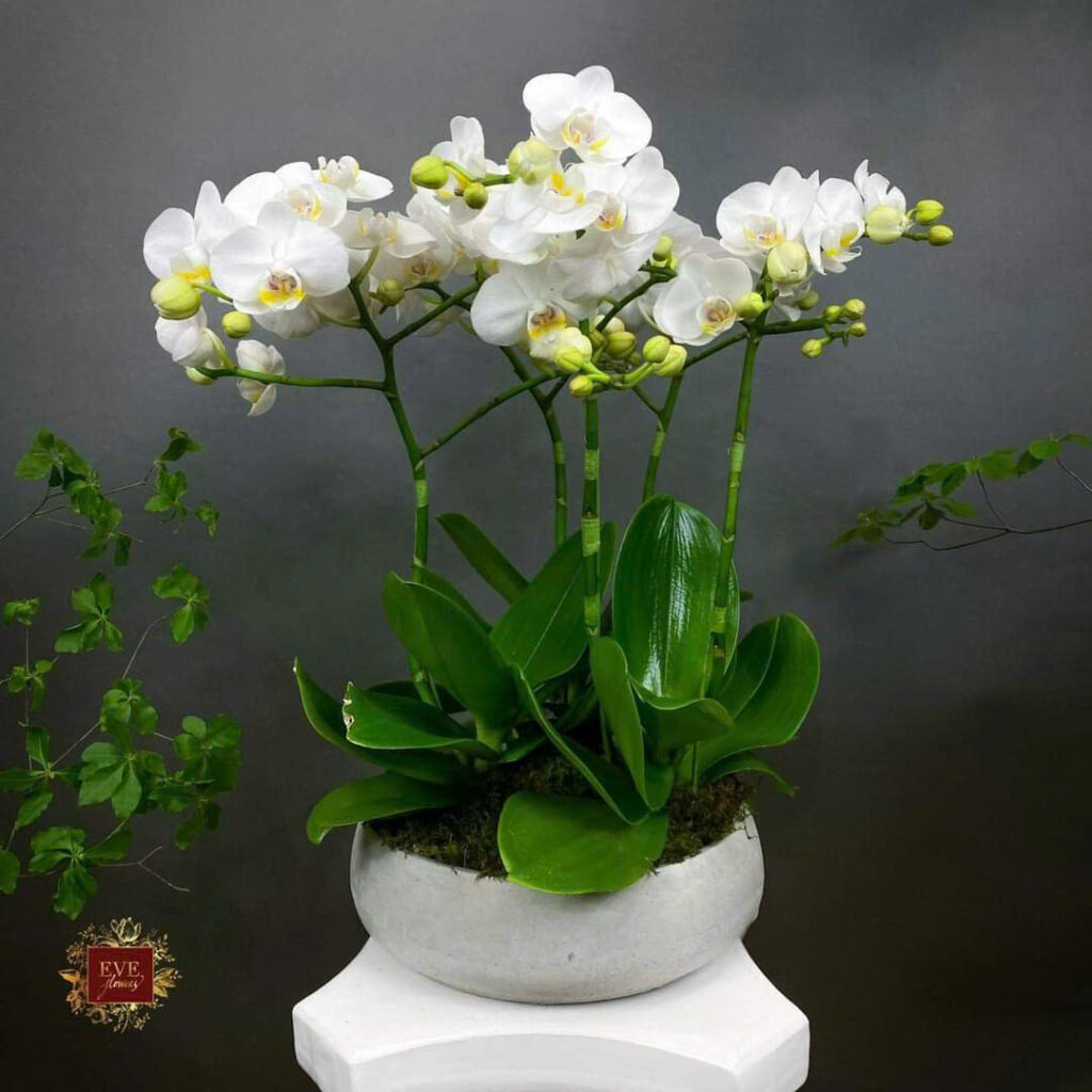 xưởng sản xuất chậu xi măng đặt theo kích thước