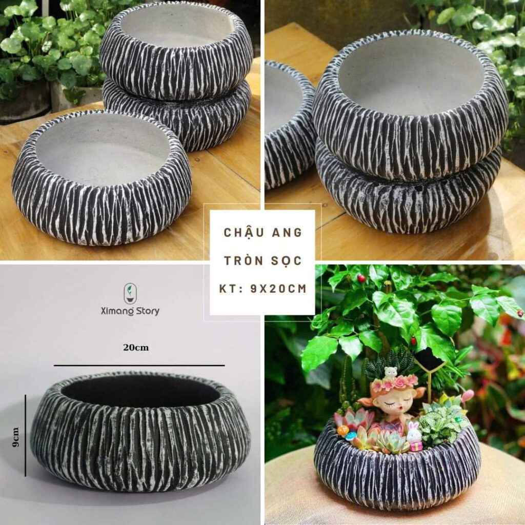 chậu xi măng chịu nắng mưa cho quán cà phê