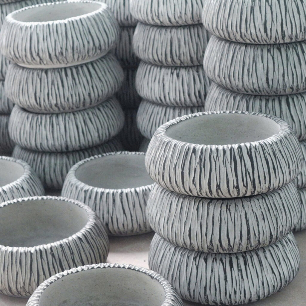 chậu xi măng kèm đất sạch + cây trọn bộ