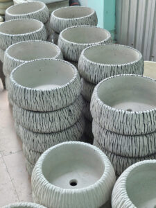 chậu trồng cây xi măng cho cây lưỡi hổ