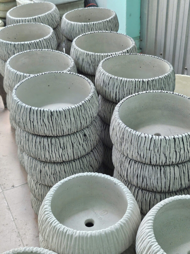 chậu trồng cây xi măng cho cây lưỡi hổ