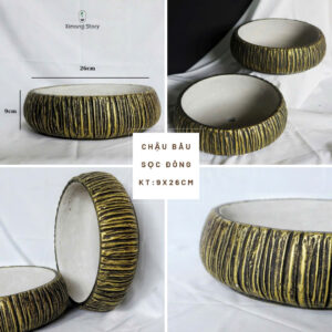 chậu xi măng xám phong cách minimal hiện đại