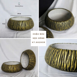 chậu xi măng thoát nước tốt không ứ đọng