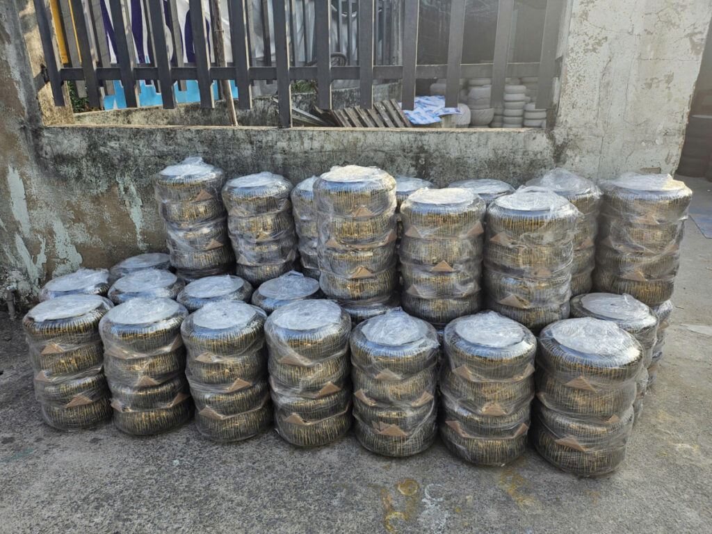 chậu xi măng sơn giả đá granite