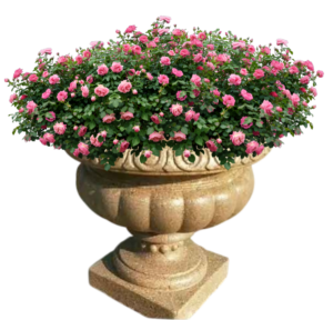 chậu xi măng trang trí cửa hàng showroom