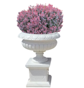 chậu xi măng trồng cây phong thủy văn phòng