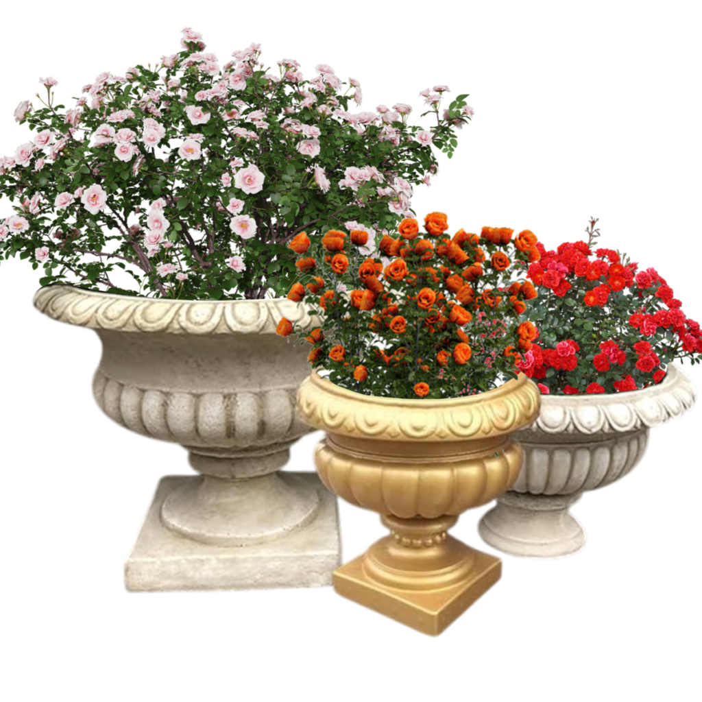 chậu trồng cây kèm phủ đá pumice