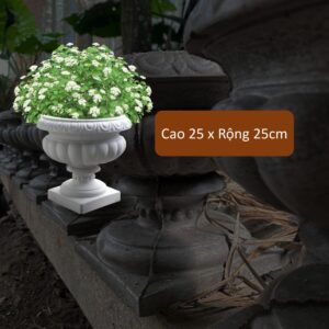 chậu xi măng mặt đá mài cao cấp