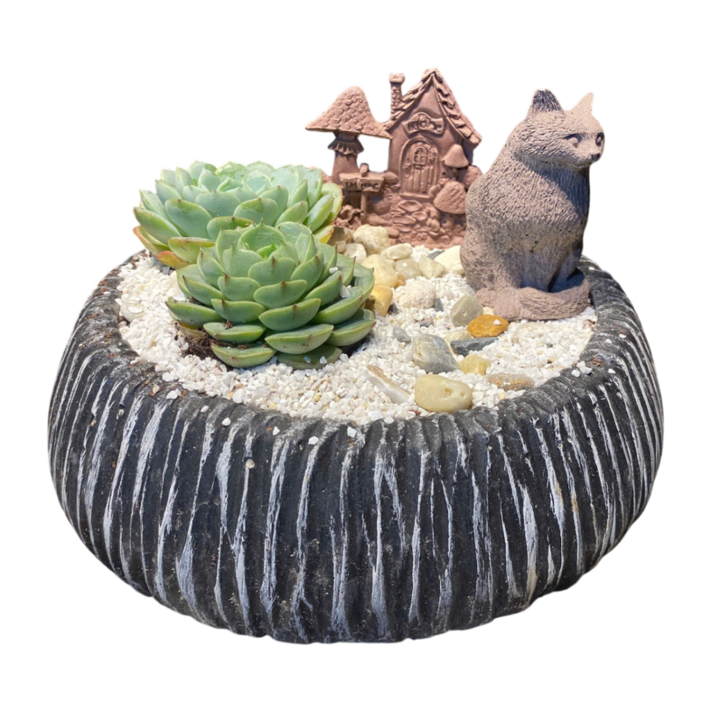 decor phòng ngủ