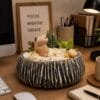chậu cây cảnh để bàn