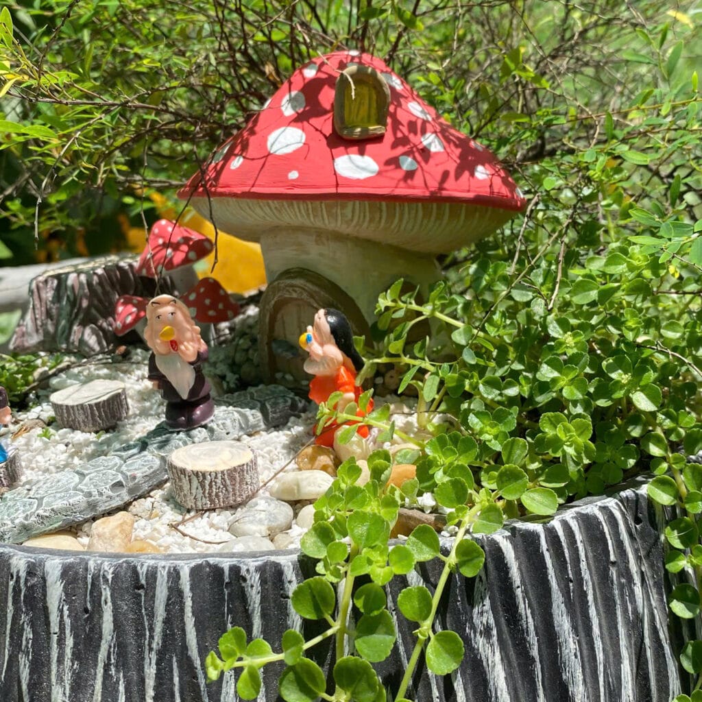 quà tặng tân gia