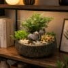 chậu cây mini trong nhà