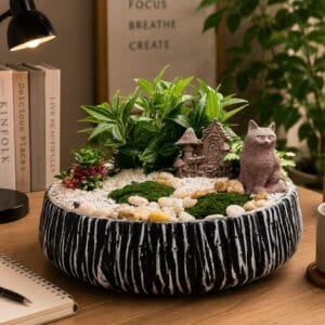 chậu xương rồng mini
