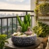 chậu cây cảnh phong cách tối giản