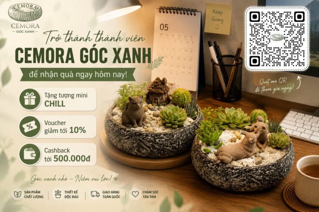 decor nhà mới