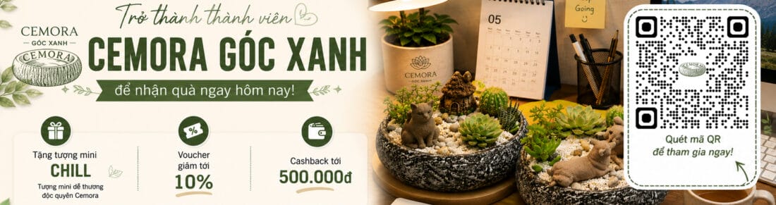 đồ trang trí nội thất
