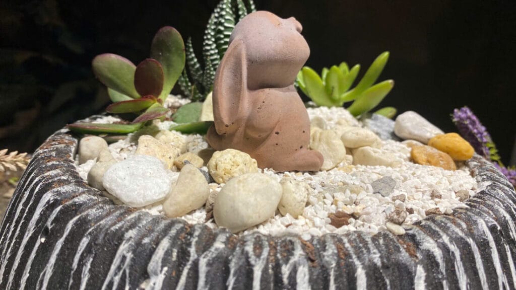 chậu trồng cây phong thủy kim ngân