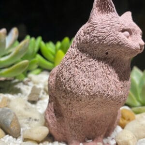 chậu trồng hoa nhựa giả xi măng nhẹ